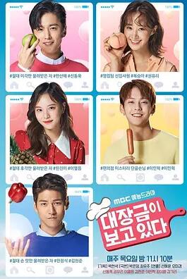 대장금이 보고있다
