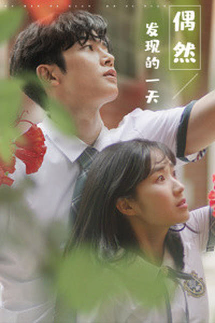 偶然发现的一天